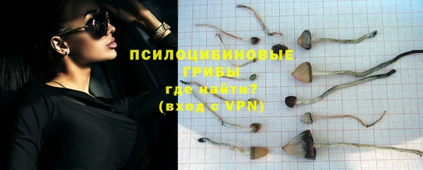 Альфа ПВП Приозерск