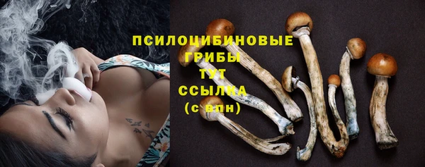 a pvp Алексин