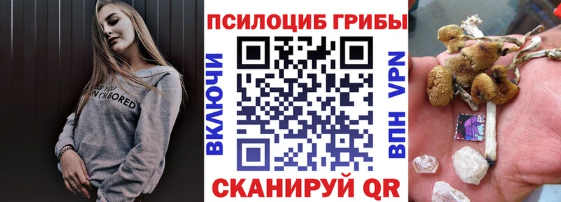 Галлюциногенные грибы прущие грибы  Кирс 